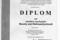 Diplom-A.-Blum-001-scaled