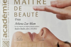 meisterbrief-2012