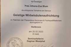 zertifikat-geistige-wirbelsauelenaufrichtung