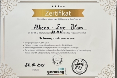 zertifikat-ipl-shr
